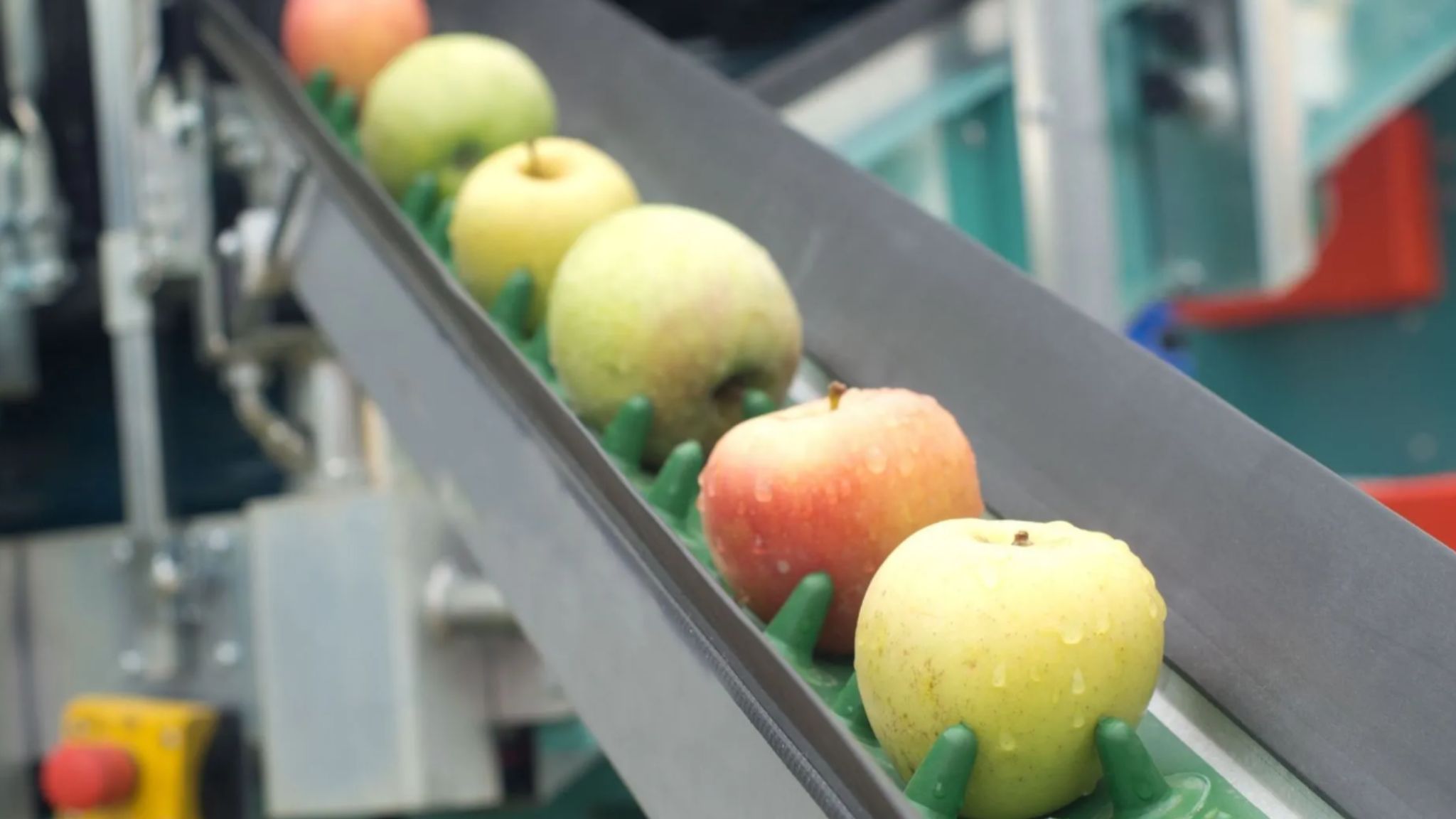Fruit and vegetable